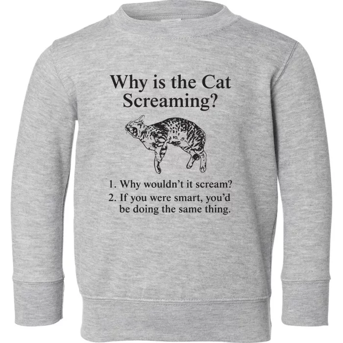 Why Is The Cat Screaming Funny Meme Toddler Sweatshirt