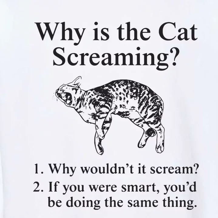 Why Is The Cat Screaming Funny Meme Garment-Dyed Sweatshirt