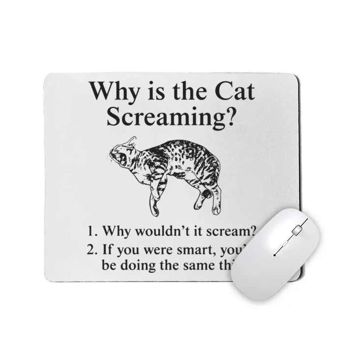 Why Is The Cat Screaming Funny Meme Mousepad