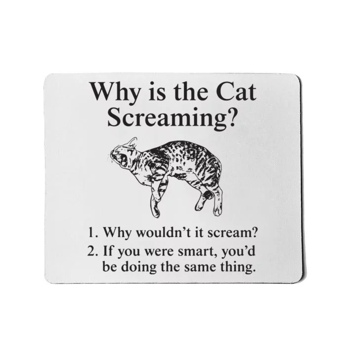 Why Is The Cat Screaming Funny Meme Mousepad