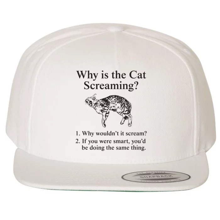 Why Is The Cat Screaming Funny Meme Wool Snapback Cap