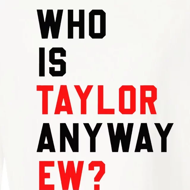 Who Is Taylor Anyway Ew Girl Taylor First Name Groovy 80S Cropped Pullover Crew