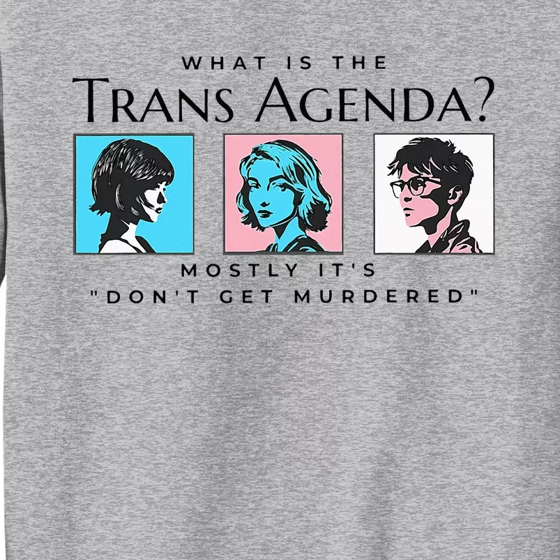 What Is The Agenda Mostly Its Dont Tall Sweatshirt