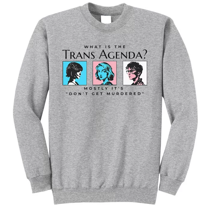 What Is The Agenda Mostly Its Dont Tall Sweatshirt