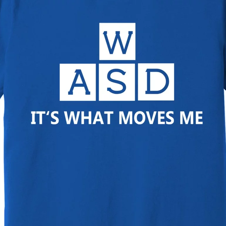 Wasd ItS What Moves Me Funny Pc Gamer Computer Gift Premium T-Shirt