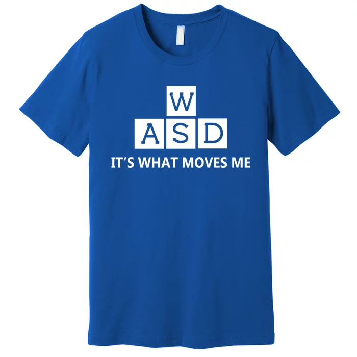 Wasd ItS What Moves Me Funny Pc Gamer Computer Gift Premium T-Shirt