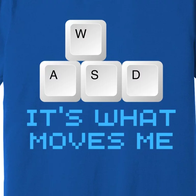 Wasd Its What Moves Me Gift Pc Keyboard Video Gamer Meaningful Gift Premium T-Shirt