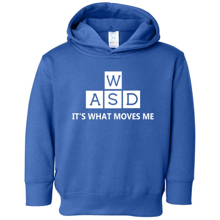 Wasd Its What Moves Me Funny Pc Gamer Computer Great Gift Toddler Hoodie