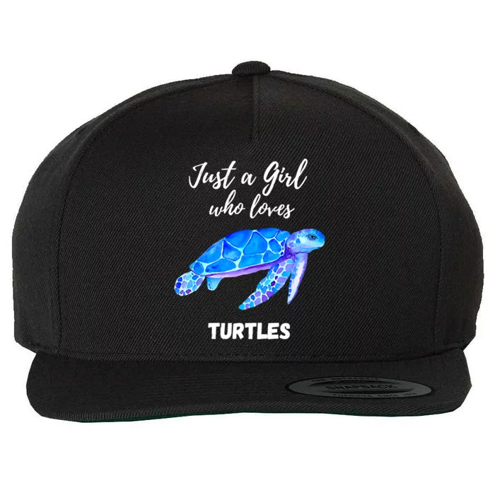 Women Just A Who Loves Turtles Sea Turtle Wool Snapback Cap