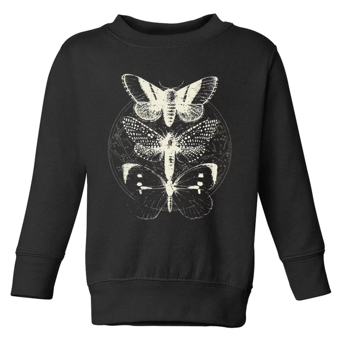 Witchcore Lepidoptera Butterfly Moth Insect Astronomy Lover Toddler Sweatshirt