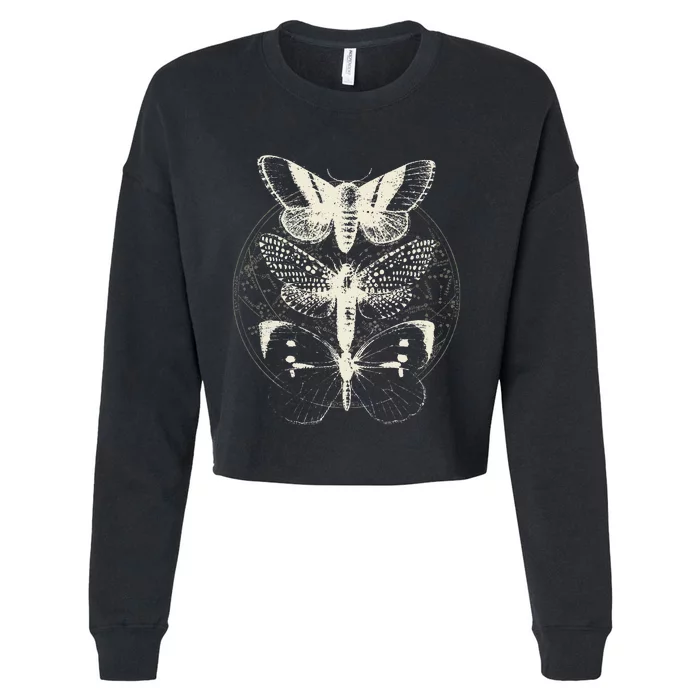 Witchcore Lepidoptera Butterfly Moth Insect Astronomy Lover Cropped Pullover Crew