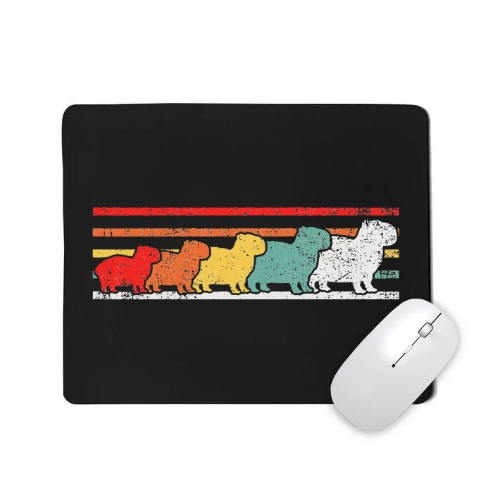 who loves Capybaras South American Capybara Mousepad