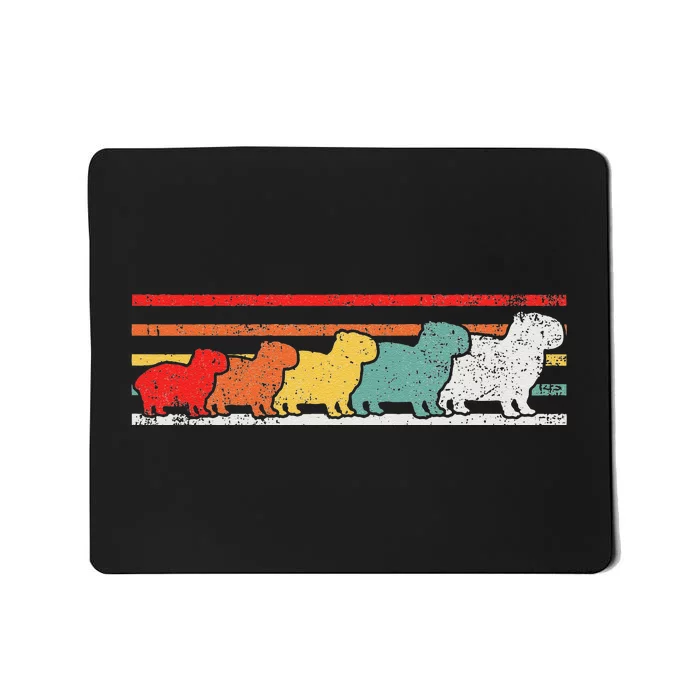 who loves Capybaras South American Capybara Mousepad