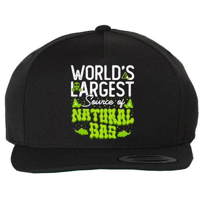 WorldS Largest Source Of Natural Gas Funny Fart Machine Gift Wool Snapback Cap