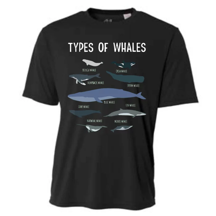 Whale Lover , Whale Lover Gift, Types Of Whales Cooling Performance Crew T-Shirt