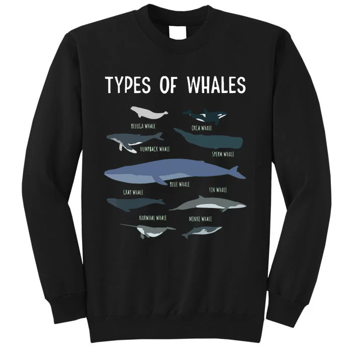 Whale Lover , Whale Lover Gift, Types Of Whales Sweatshirt