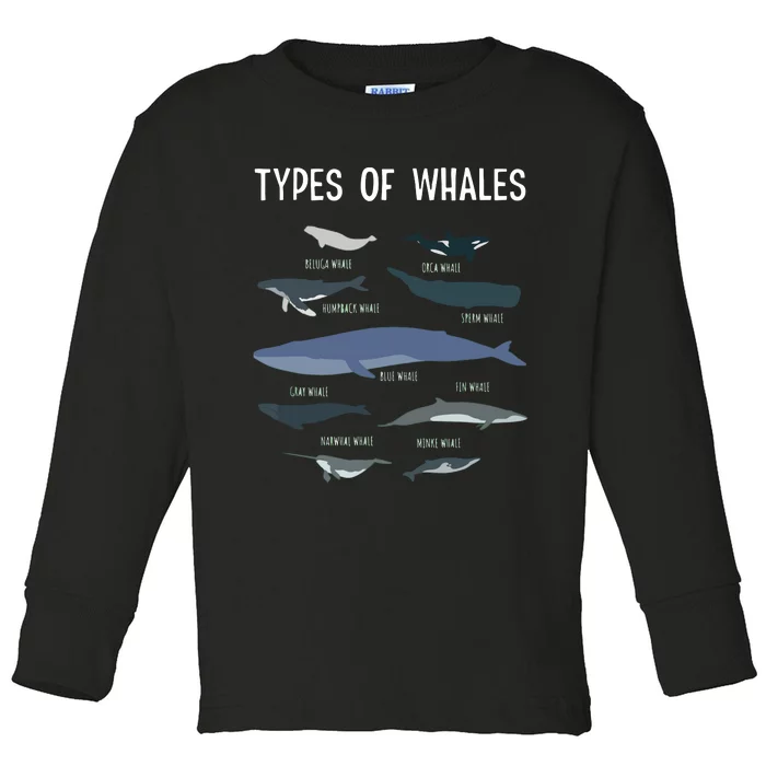 Whale Lover , Whale Lover Gift, Types Of Whales Toddler Long Sleeve Shirt