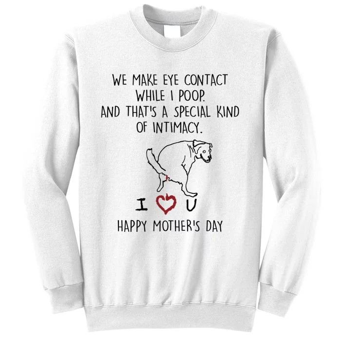 We Make Eye Contact While I Poop Funny Family Humor Sweatshirt