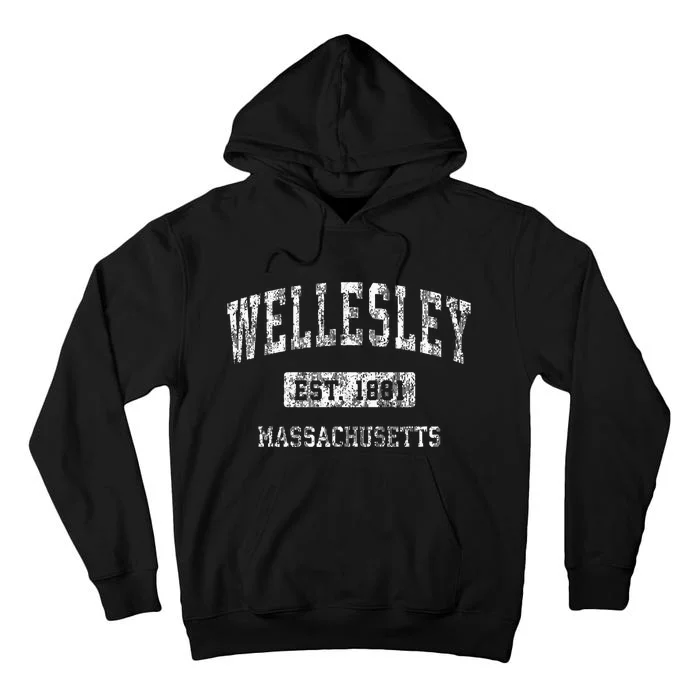 Wellesley Massachusetts Ma Vintage Sports Established Tall Hoodie