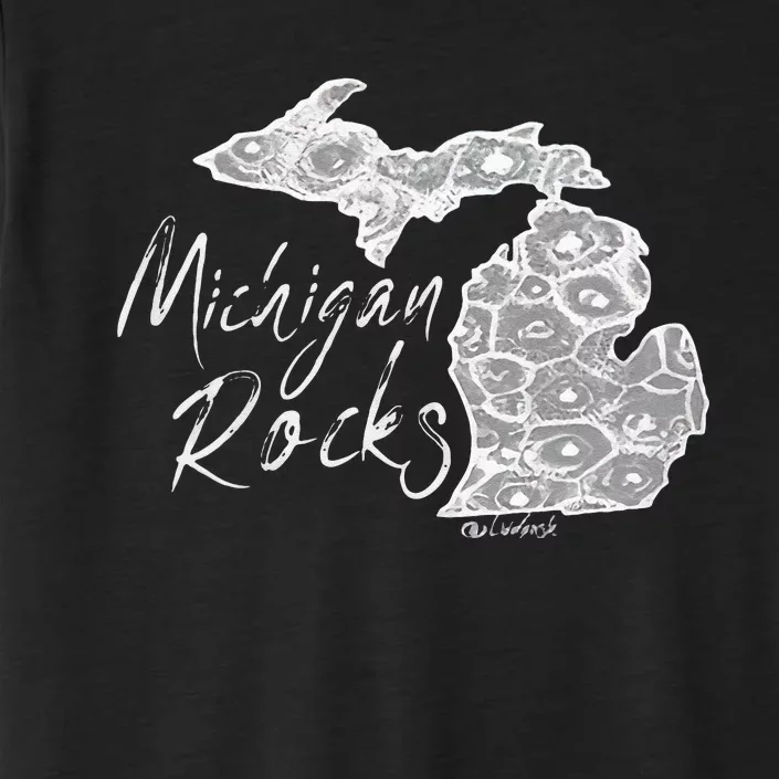 Womens MICHIGAN ROCKS PETOSKEY STONE ChromaSoft Performance T-Shirt