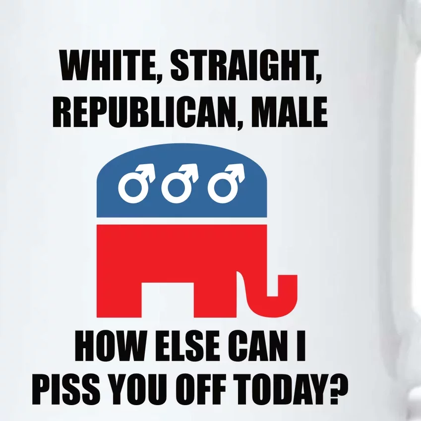 White Male Straight Republican | Funny Republican Gifts Black Color Changing Mug