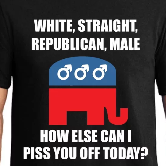 White Male Straight Republican | Funny Republican Gifts Pajama Set