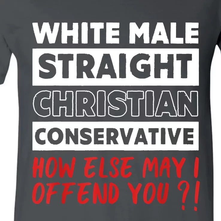 White Male Straight Christian Conservative Republicans V-Neck T-Shirt