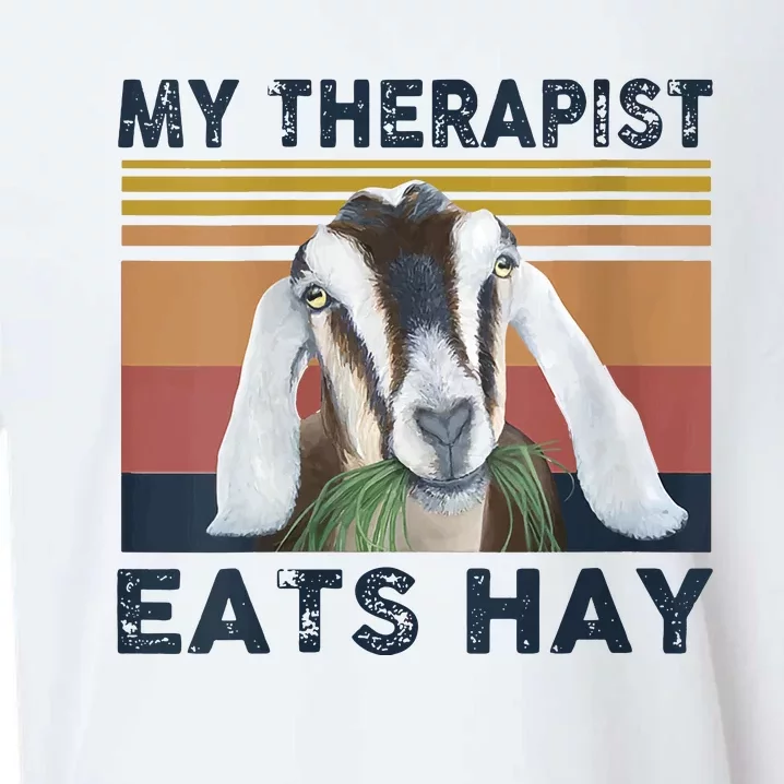 Womens My Therapist Eats Hay Funny Goat Lover Farm Animal VNeck Sueded Cloud Jersey T-Shirt