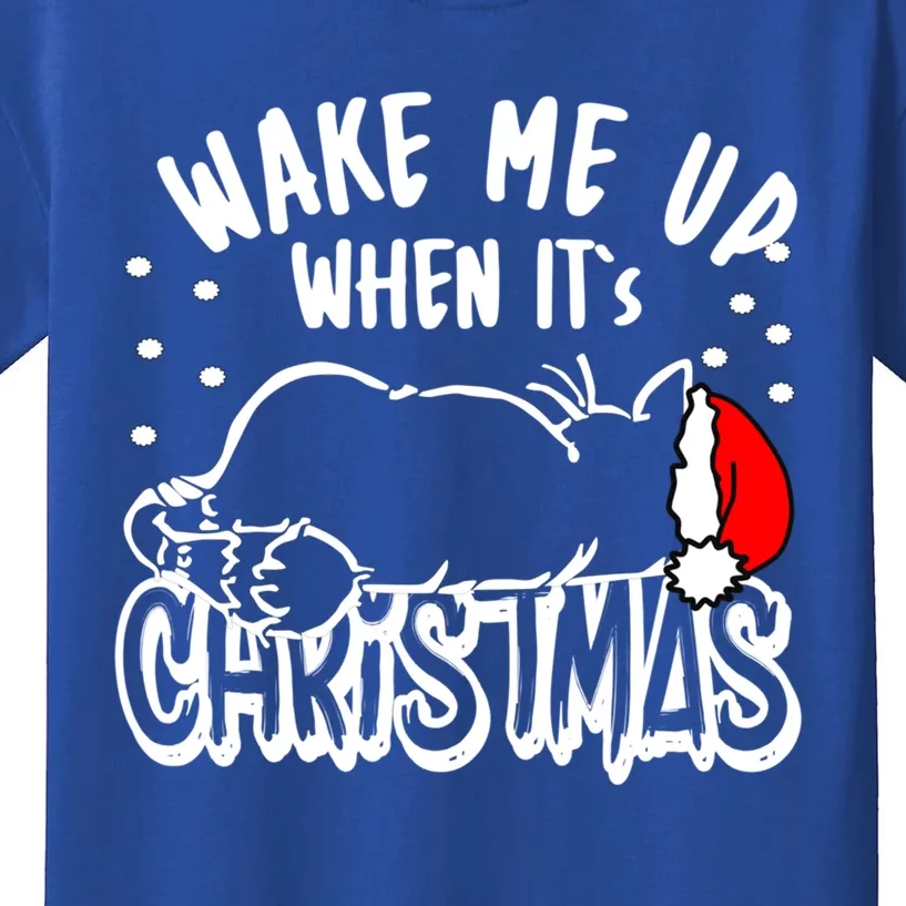 Wake Me Up When Its Christmas Merry Christmas Cat Gift Kids T-Shirt