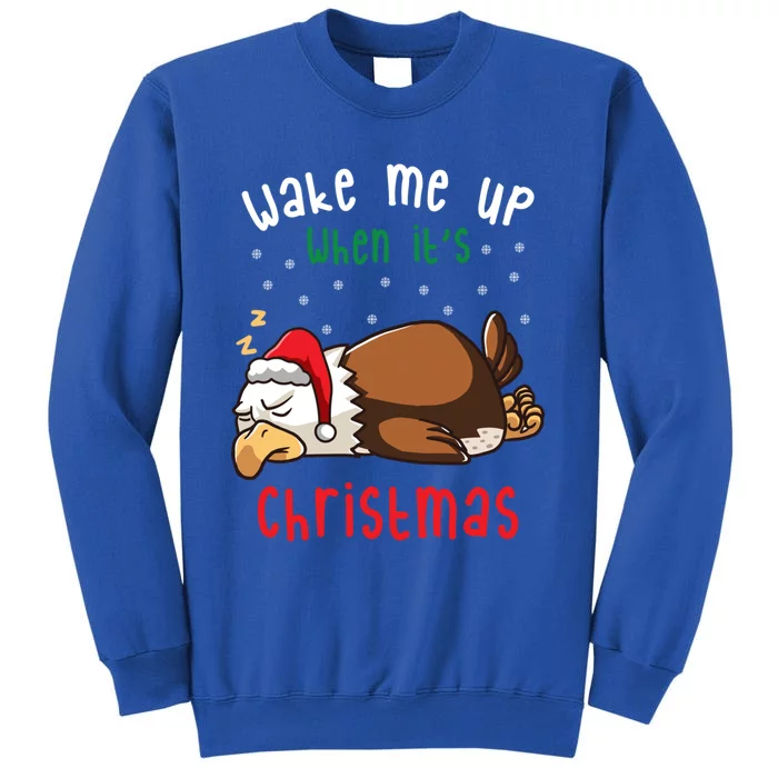 Wake Me Up When ItS Christmas Sleeping Bald Eagle Sleep Nap Meaningful Gift Tall Sweatshirt