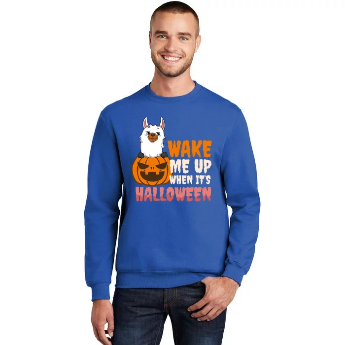 Wake Me Up When Its Design Halloween Llama Funny Gift Tall Sweatshirt