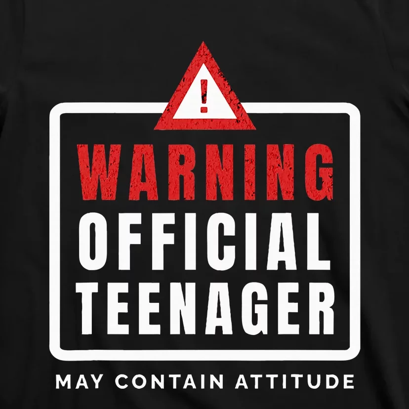 Warning Nager Birthday 13 Year Old T-Shirt