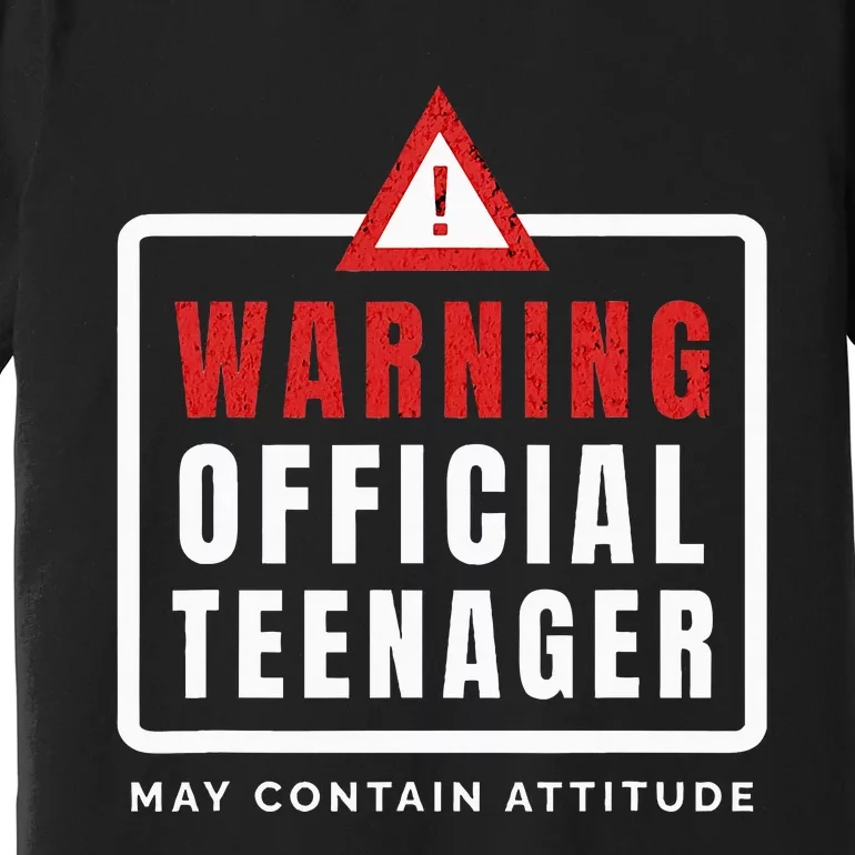 Warning Nager Birthday 13 Year Old Premium T-Shirt