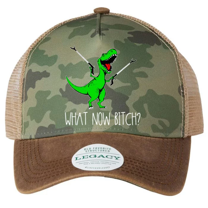 What Now Bitch Funny T Rex Dinosaur Legacy Tie Dye Trucker Hat