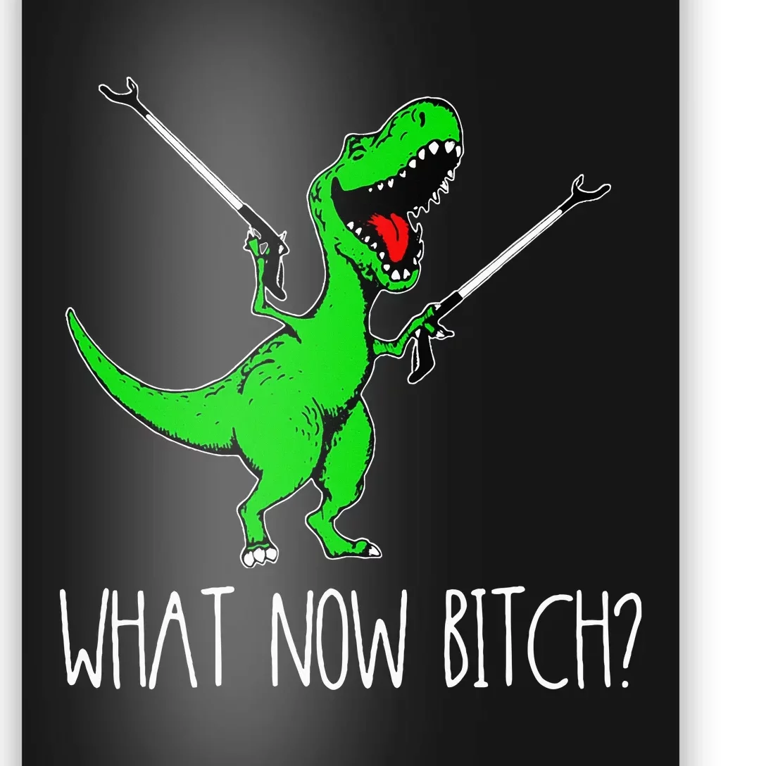 What Now Bitch Funny T Rex Dinosaur Poster