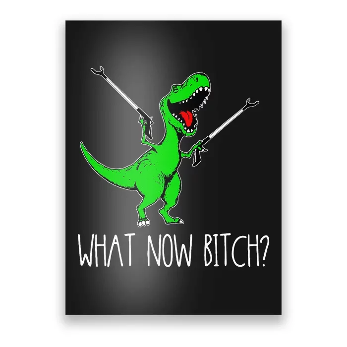 What Now Bitch Funny T Rex Dinosaur Poster