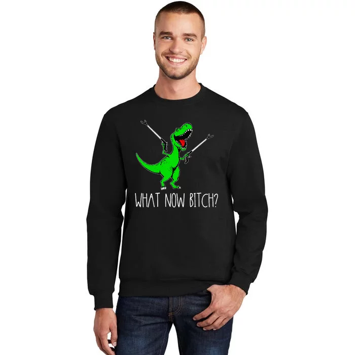 What Now Bitch Funny T Rex Dinosaur Tall Sweatshirt