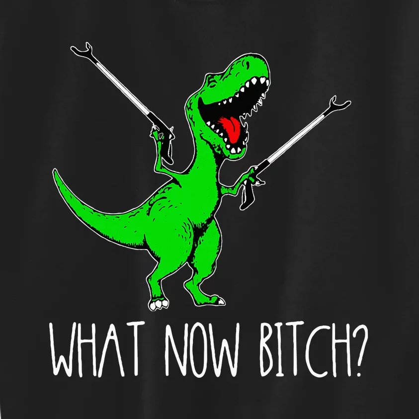 What Now Bitch Funny T Rex Dinosaur Kids Sweatshirt