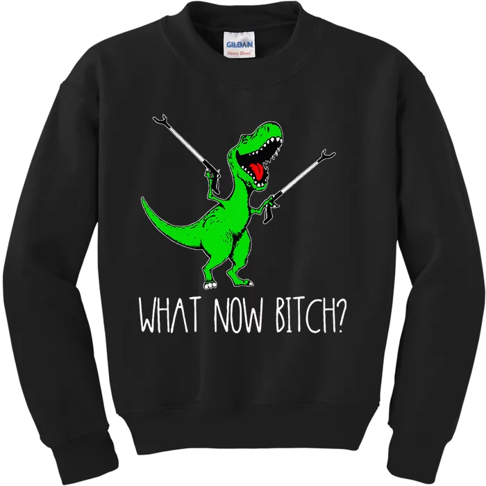 What Now Bitch Funny T Rex Dinosaur Kids Sweatshirt