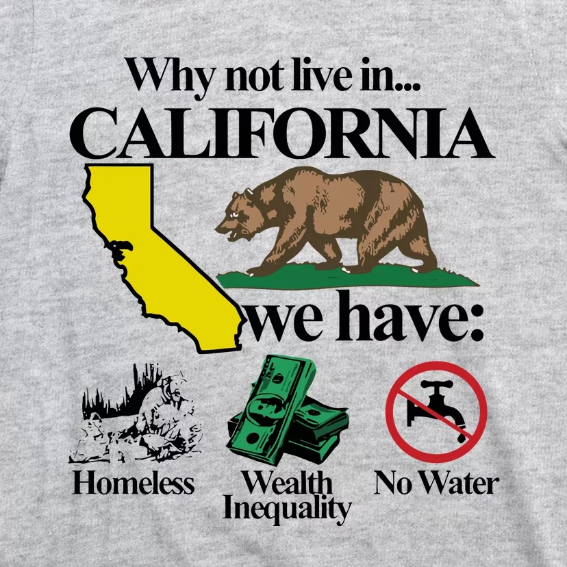 Why Not Live In California: Homelessness And Inequality T-Shirt