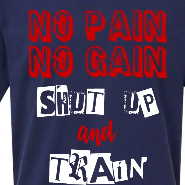 Workougift No Pain No Gain Shut Up And Train Gym Gift Cool Gift Sueded Cloud Jersey T-Shirt