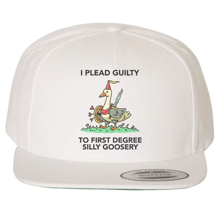 Wizard Of Barge I Plead Guilty To First Degree Silly Goosery Wool Snapback Cap