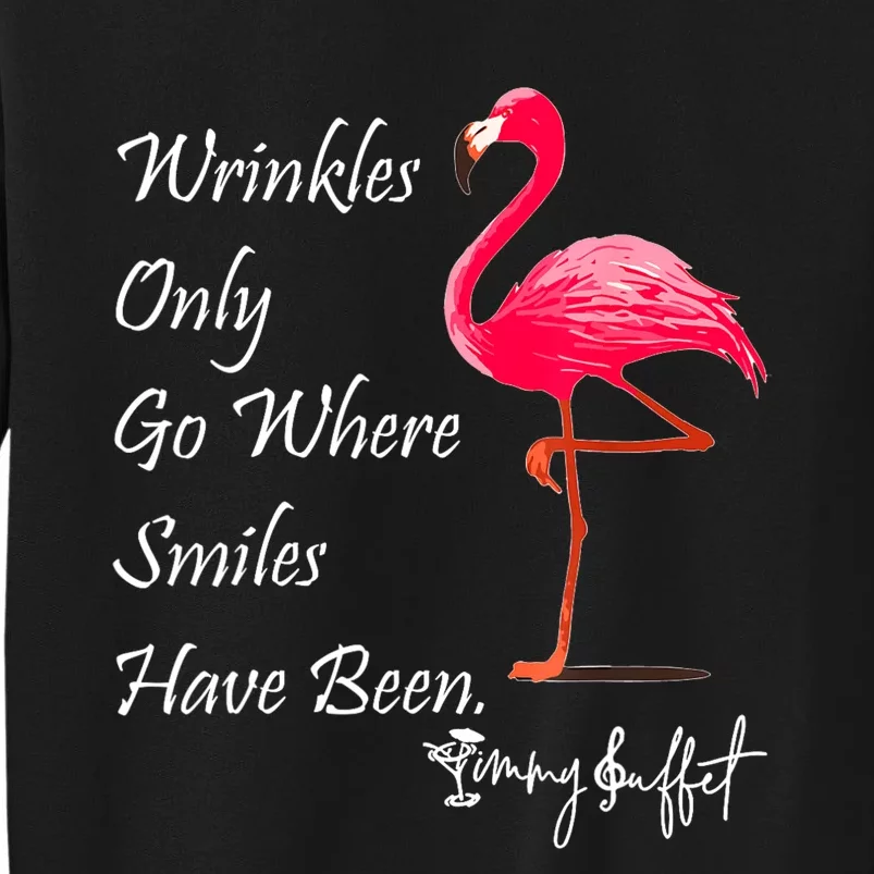 Wrinkles Only Go Where Smiles Have Been Flamingo Funny Sweatshirt