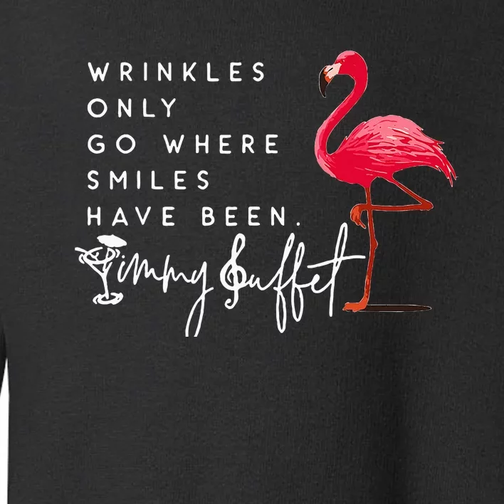 Wrinkles Only Go Where Smiles Have Been Flamingo Funny Toddler Sweatshirt