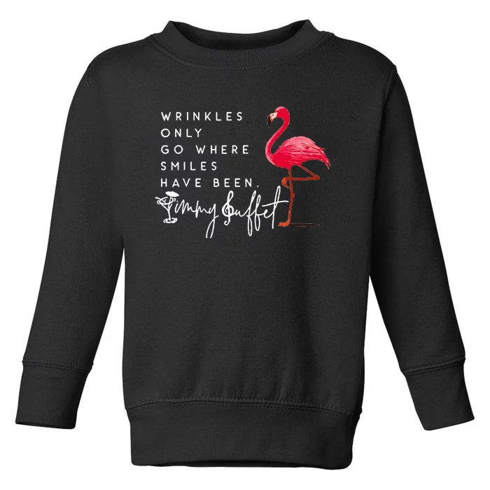 Wrinkles Only Go Where Smiles Have Been Flamingo Funny Toddler Sweatshirt