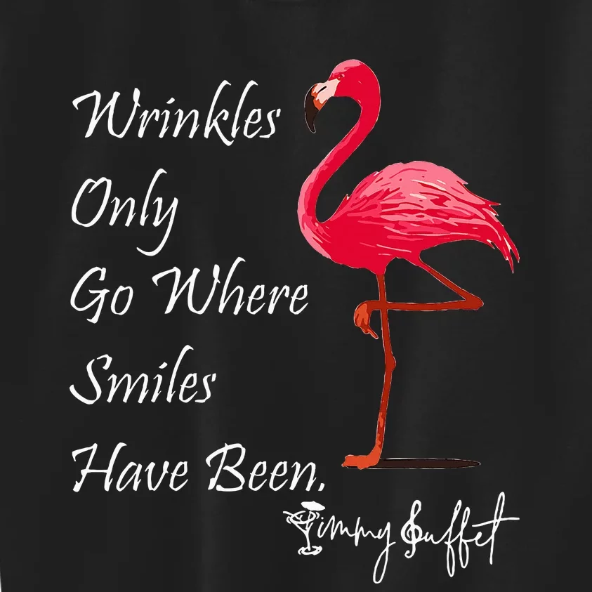 Wrinkles Only Go Where Smiles Have Been Flamingo Funny Kids Sweatshirt