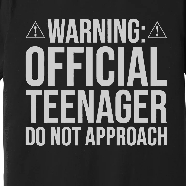 Warning Official Teenager 13th Birthday 13 Year Old Boy Girl Premium T-Shirt