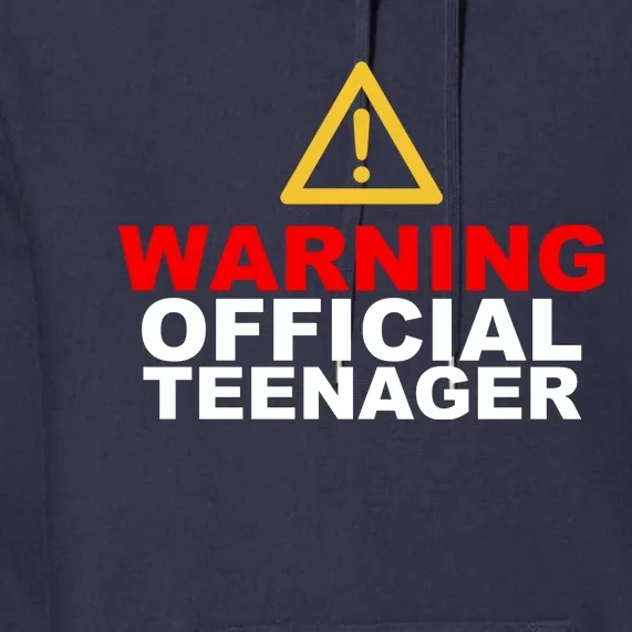 Warning Official Teenager 13th Birthday Premium Hoodie