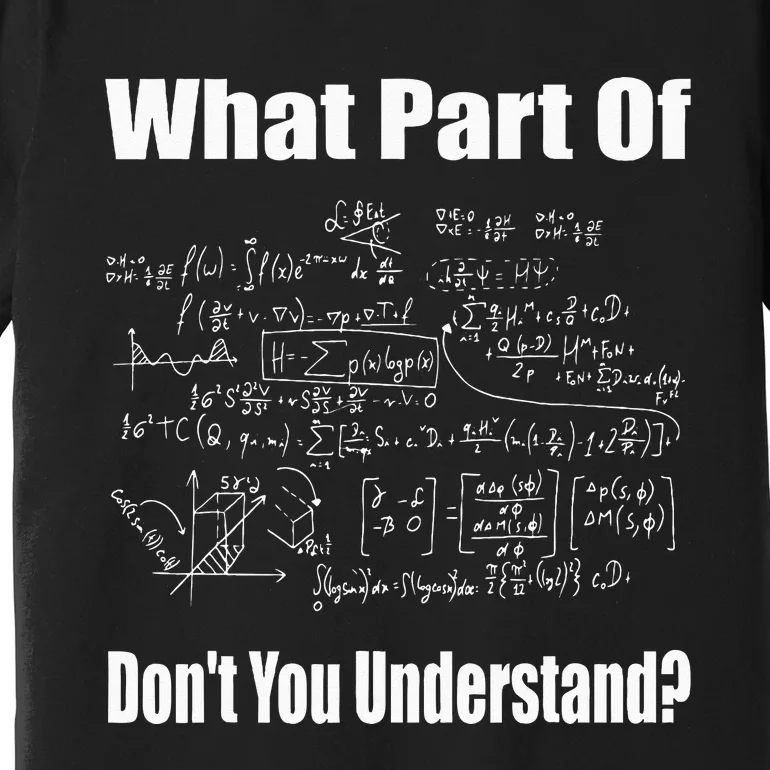 What Part Of Dont You Understand Funny Math Teacher Premium T-Shirt