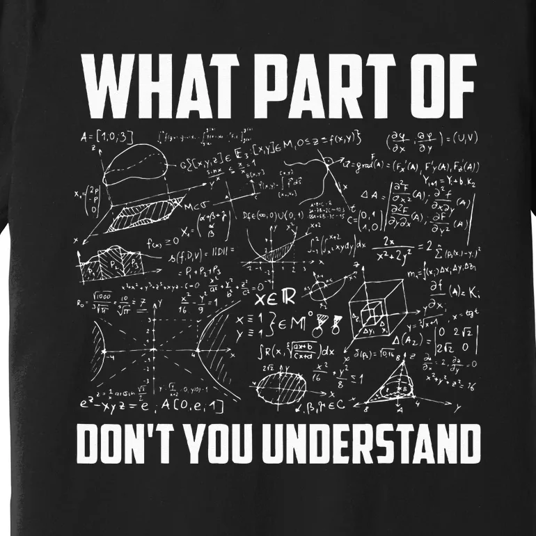 What Part Of Dont You Understand Funny Math Teacher Gift Premium T-Shirt